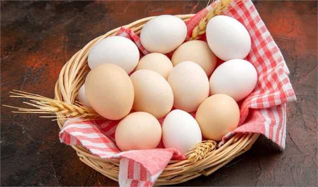 لغو ممنوعیت صادرات تخم مرغ