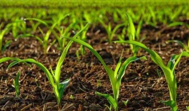 تغییر کاربری اراضی کشاورزی ممنوع است