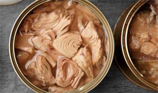 عرضه کنسرو ماهی با ۱۵ درصد تخفیف در ایام نوروز و ماه رمضان