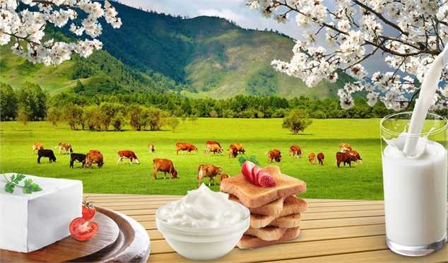 رشد بیش از ۶۰ درصدی صادرات محصولات لبنی