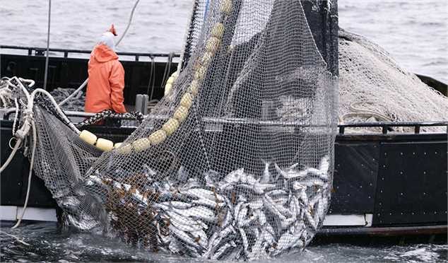 میزان برداشت از دریا بر اساس توصیه کارشناسان باشد