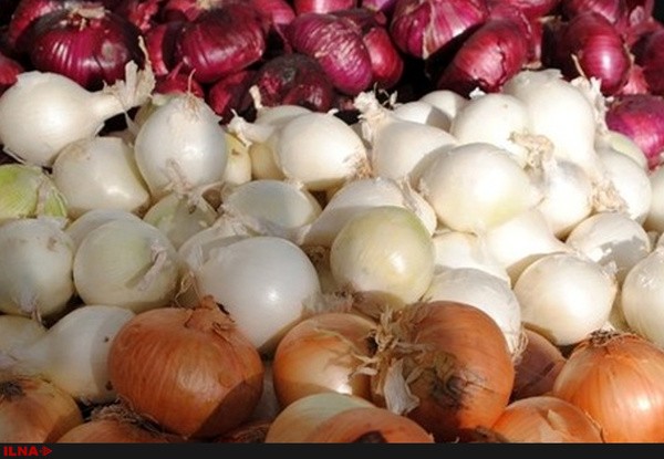 بار عرضه پیاز کشور بر دوش اصفهان است/ پیاز کیلویی 3800 تومان شد