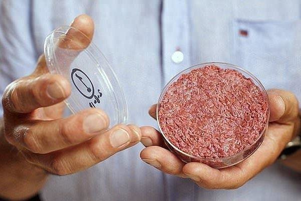 عرضه گوشت پاک در سراسر جهان تا ۲ سال دیگر