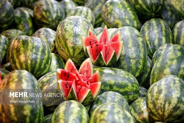 نقش هندوانه در بحران آب کشور، فرار رو به جلو است