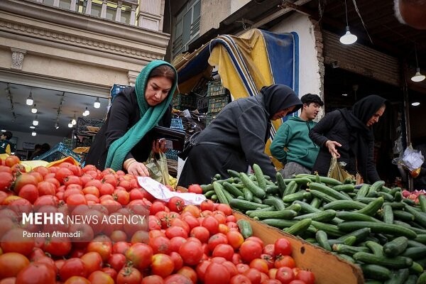 قیمت گوجه‌فرنگی بدون بارش باران گران شد