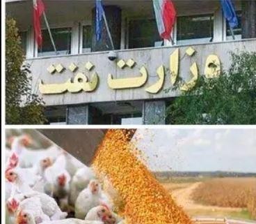 به جای تخصیص ارز وعده تحویل می دهند!