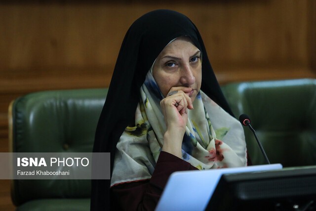 سوخت مازوت وگازوئیل به حدود۶۰درصد رسیده/ لزوم قطع فوری این سوخت ها در نیروگاه های اطراف تهران