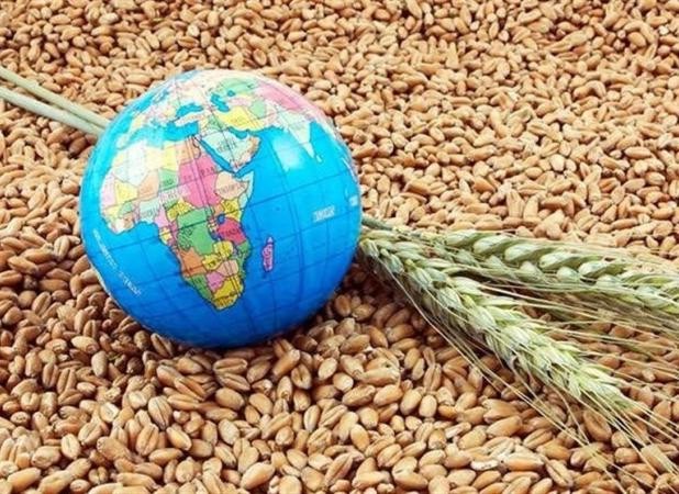 لزوم برنامه ریزی برای تامین امنیت غذایی کشور