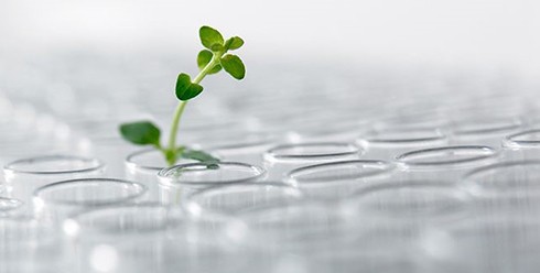 شرکت Dupont از ادغام دو واحد تولید پلاستیک خود خبر داد