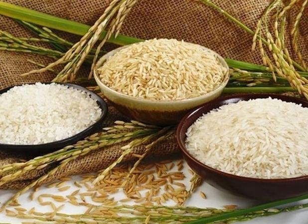 کاهش قیمت برنج در اه است