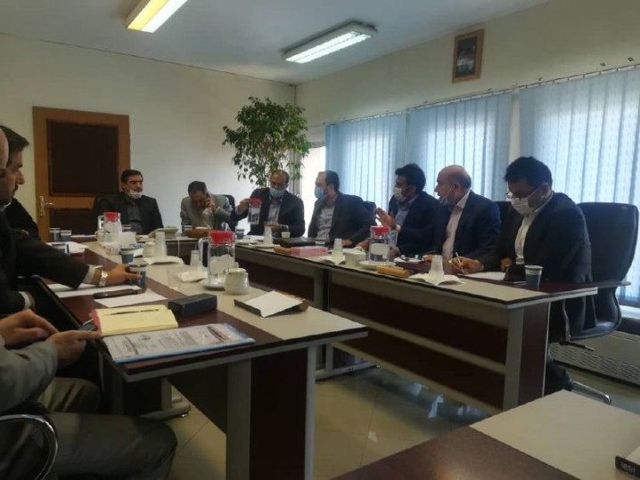 صادقی نیارکی: شخصا برگشت سهمیه تولیدکنندگان واقعی را پیگیری می‌کنم