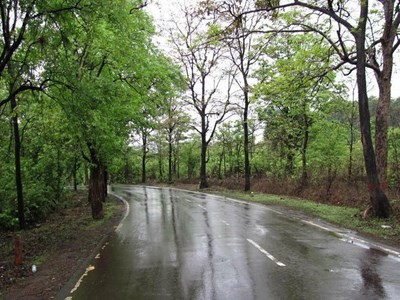 بارش برف و باران در ۱۶ استان/ ورود موج جدید بارشی به کشور