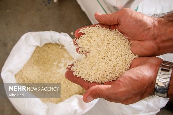 امسال یک میلیون تن کمبود برنج در بازار داریم