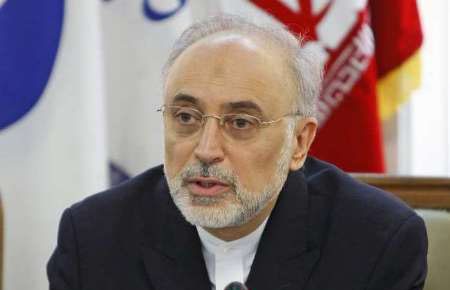 صالحی: ورود به فاز جدید با اجرای برجام/ایران روی سکوی پرتاب قرار گرفته است