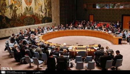 رئیس شورای امنیت درمورد دخالت های ترکیه در سوریه هشدار داد