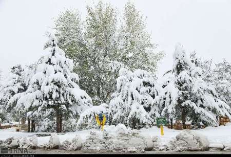 برف و کولاک استان اردبیل را فرا گرفت / مردم از سفرهای غیر ضروری خوداری کنند