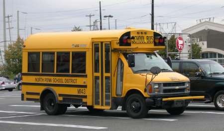 مرگ دلخراش 10 کودک کره‌ای در چین