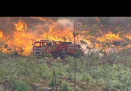آتش‌سوزی در جنگل‌های پرتغال با 24 کشته