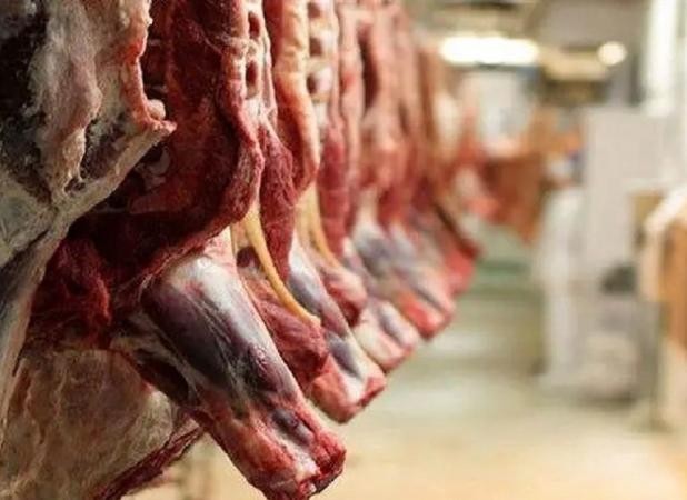 واردات گوشت گرم گوساله با نرخ مصوب 598 هزار تومان از پاکستان وبرزیل