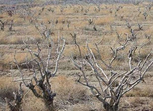 امسال نسبت به میانگین بلندمدت، ۴۰ درصد کاهش بارش داشته‌ایم