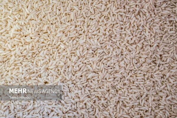 توزیع برنج پاکستانی با قیمت ۶۶ هزار و ۳۰۰ تومان در بازار