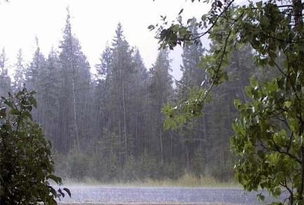 برف و باران کشور را فرا می گیرد