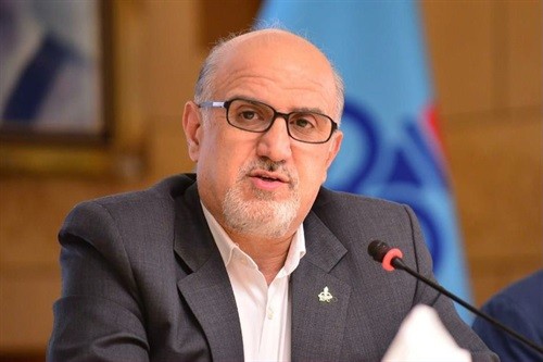 NPC Focused on Diversification of Petchem Output: CEO