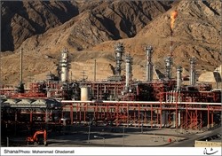 تولید محصولات پتروشیمی تا پایان امسال به ٤٧ میلیون تن می رسد