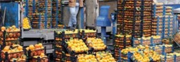 قیمت انواع میوه و سبزیجات در بازار امروز