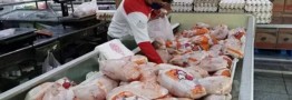 جدیدترین قیمت گوشت مرغ در بازار