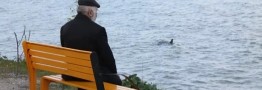 جزئیات جدید احکام بازنشستگی اعلام شد