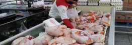 قیمت مرغ در بازار امروز