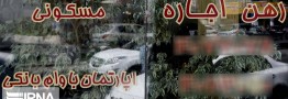 بساط مشاوران املاک برچیده شود/ نظارت بر ۲۰۰ هزار بنگاه مسکن ممکن نیست