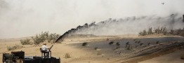 بیش از ۱۲ هزار هکتار از اراضی کشور مالچ پاشی می&zwnj;شود