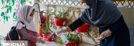 حاجی میرزایی: مدارس از ۱۵ شهریورماه بازگشایی می&zwnj;شوند