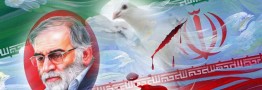 چین ترور شهید فخری زاده را محکوم کرد 