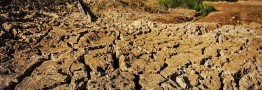 خشکسالی، بی&zwnj;نظمی و دولت&zwnj;هایی که کار را خراب&zwnj;تر کرده&zwnj;اند