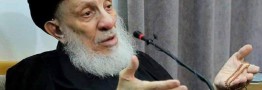 مراسم بزرگداشت مرحوم آیت&zwnj;الله حکیم از طرف رهبر انقلاب برگزار می&zwnj;شود
