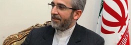 آغاز رایزنی&zwnj;های دیپلماتیک باقری در وین