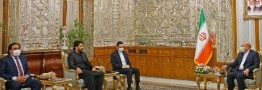 قبح ارتباط با رژیم صهیونیستی نباید از بین برود/ ایران و پاکستان روی موضع خود محکم بایستند
