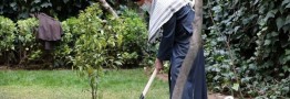 توسعه انرژی هسته&zwnj;ای باید جدی گرفته شود/ تخریب محیط&zwnj;زیست تخریب منافع ملی است