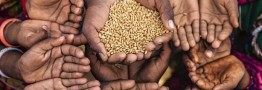 جنگ اوکراین، گرسنگی را در فقیرترین کشورها شدت می دهد