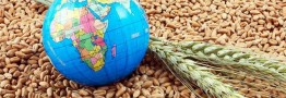 امنیت غذایی جهان در خطر است/ هشدار ۴ نهاد وابسته به سازمان ملل