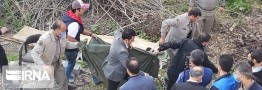پلنگ سرگردان قائمشهر زنده&zwnj;گیری شد