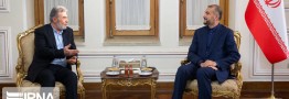 امیرعبداللهیان بر تداوم سیاست ایران در حمایت از آرمان آزادی فلسطین تاکید کرد