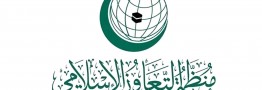 جنایت در جنین ادامه تروریسم سازمان یافته اسرائیل است/ شورای امنیت وارد عمل شود