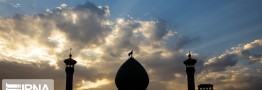 طلوعی که همدستان تروریست&zwnj; داعشی حادثه حرم شاهچراغ(ع) ندیدند