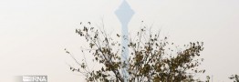 جو پایدار در اغلب مناطق و آلودگی در کلانشهرها/ نوار شمالی از سه&zwnj;شنبه بارانی می&zwnj;شود