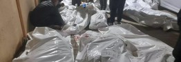 آمریکا و اسراییل مسئول جنایت در رفح هستند/ پافشاری دو همدست بر نسل&zwnj;کشی فلسطینیان