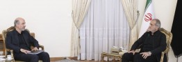 وزیر نیرو در دیدار با رئیس جمهور منتخب: اعضای دولت آماده هر نوع همکاری هستند